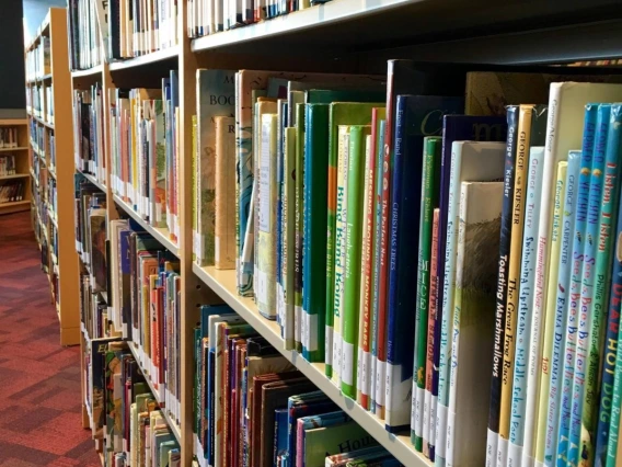 row of books on a library shelf