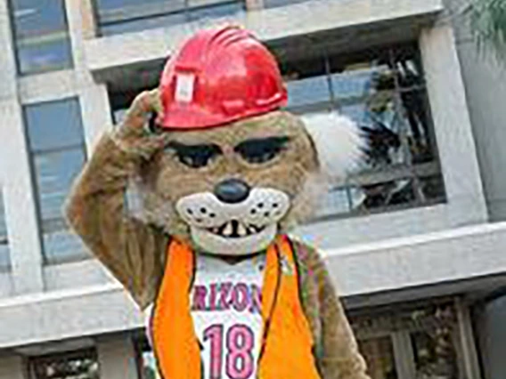 Wilber Wildcat in a construction hat