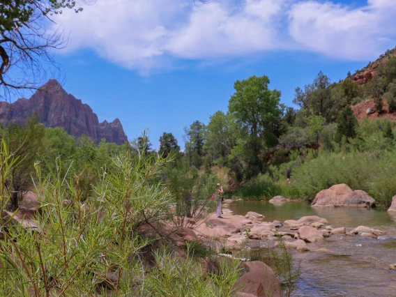 outdoor landscape scene with mountains and a stream