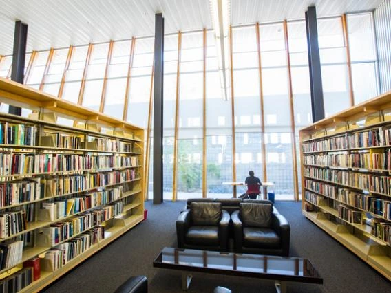 row of books on a bookcase with large windows and a view of a sunny day