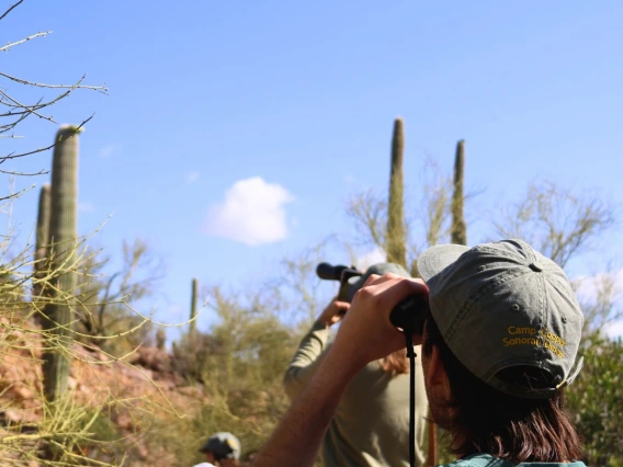 Group of people birdwatching in the Sonoran Desert, with a person in the foreground wearing a Camp Cooper Sonoran Desert cap and using binoculars.