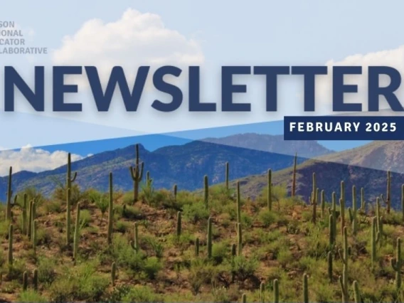 The word NEWSLETTER, background features a scenic desert landscape with saguaro cacti, rolling hills, and a partly cloudy sky