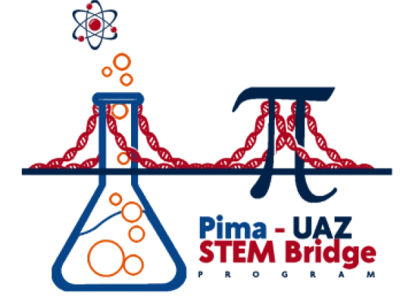 pima stem bridge logo