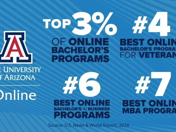 Arizona Online 2024