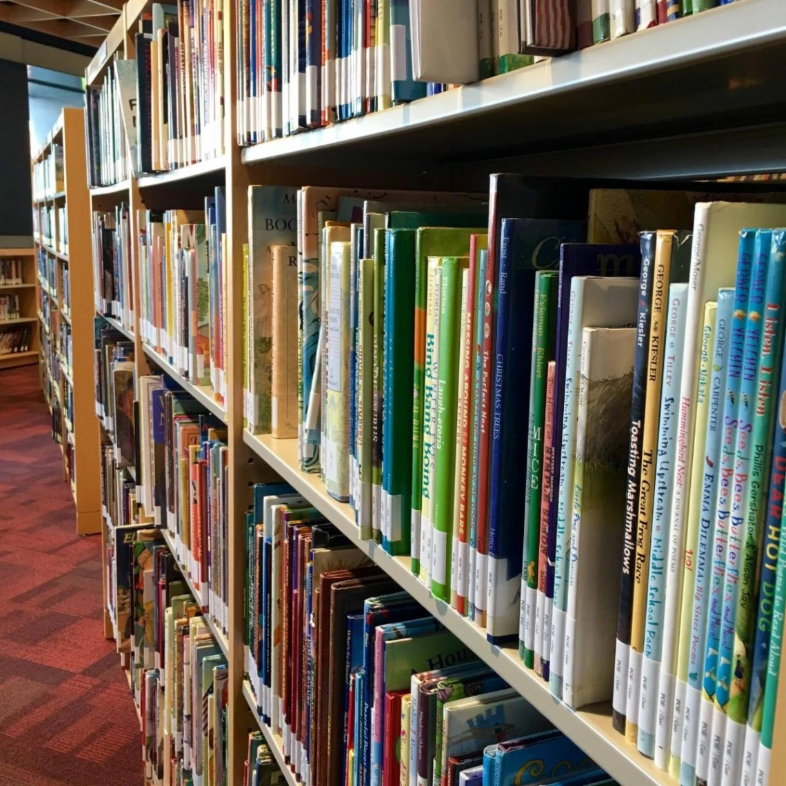 row of books on a library shelf