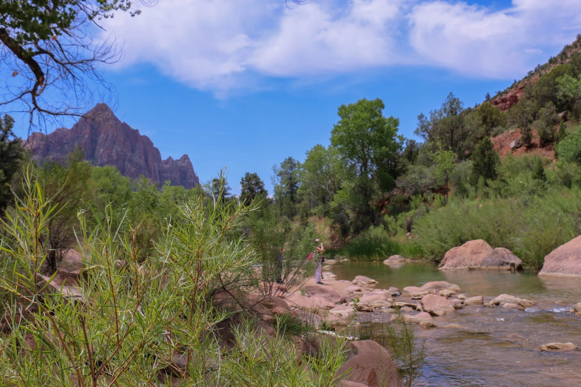 outdoor landscape scene with mountains and a stream