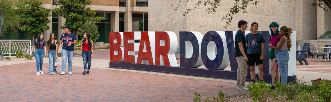 u of a students outside on a sunny day standing near a BEARDOWN sign