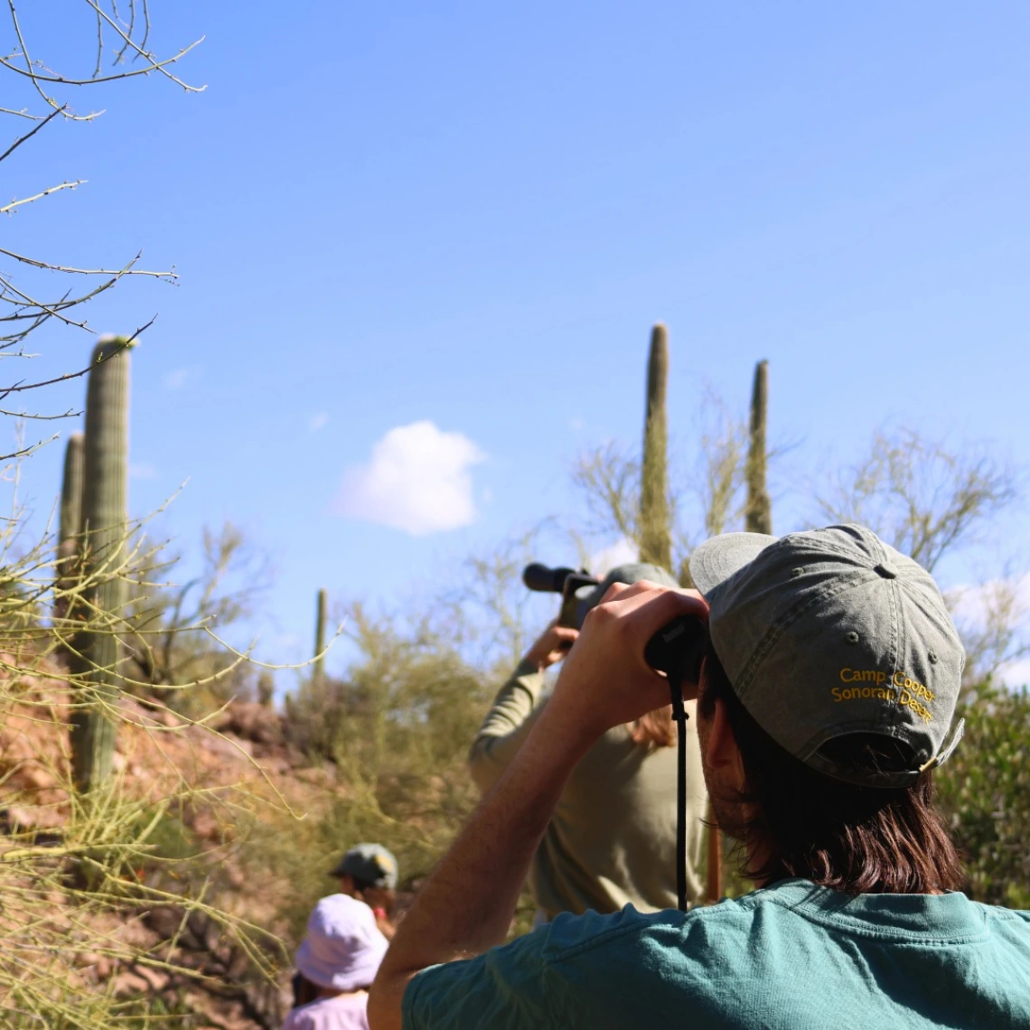 Group of people birdwatching in the Sonoran Desert, with a person in the foreground wearing a Camp Cooper Sonoran Desert cap and using binoculars.