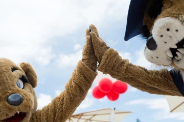 wilma and wilbur wildcat high fiving