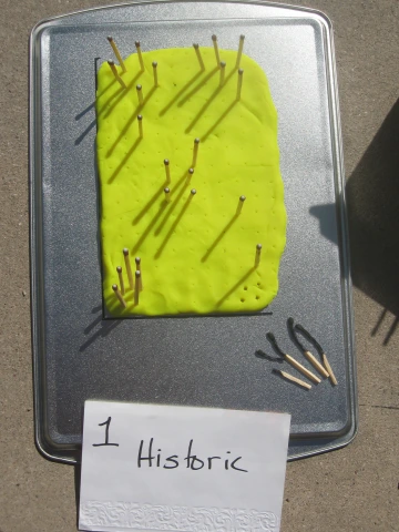 A rectangular piece of yellow modeling clay on a baking sheet with multiple wooden matches inserted upright. Shadows from the matches fall across the surface. A handwritten sign in front reads '1 Historic' in black ink on white paper. The setup is outdoors on a concrete surface.