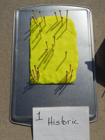 A rectangular piece of yellow modeling clay on a baking sheet with multiple wooden matches inserted upright. Some matches have been burned and removed, leaving small holes in the clay. A few burnt matchsticks are lying on the baking sheet to the right. Shadows from the remaining matches stretch across the surface. A handwritten sign in front reads '1 Historic' in black ink on white paper. The setup is outdoors on a concrete surface.