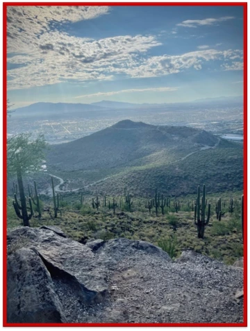 Desert Landscape with mountains and green cacti