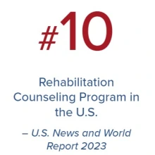 Rehabilitation Counseling Program in the US #10