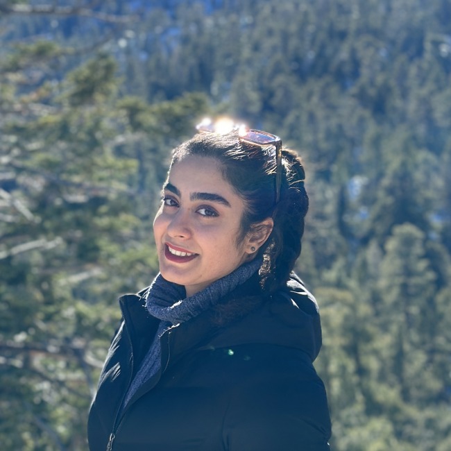 Narges Zandi